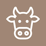 巴西 / 阿根廷牛肉